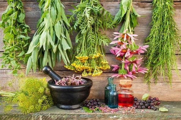 plante medicinale pentru hipertensiune arterială